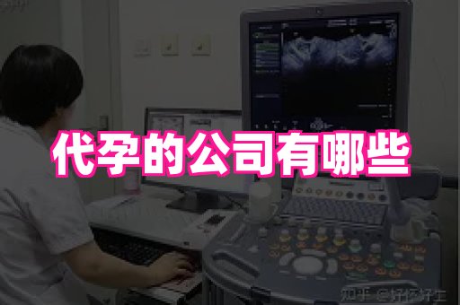 梦美助孕网 1