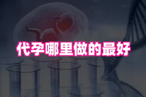 梦美助孕网 3