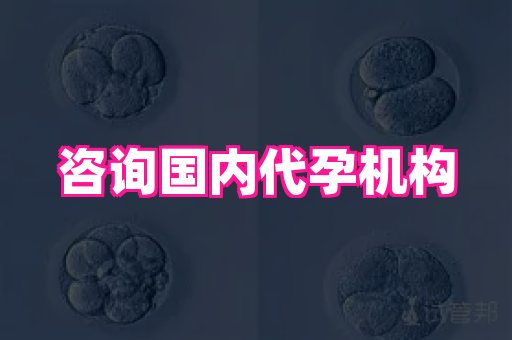 梦美助孕网 4